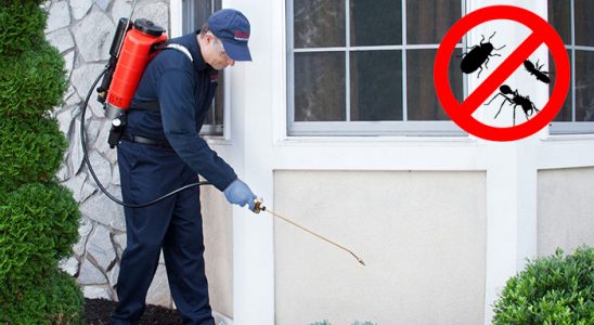 Hasköy Kene İlaçlama böcek ilaçlama ve haşere kontrolü — ilaclama-tr.com